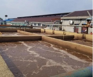 出水氨氮大于進水氨氮，怎么回事？